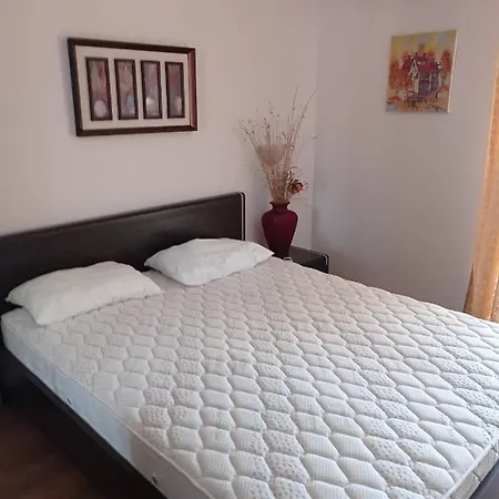 тарантула Apartman